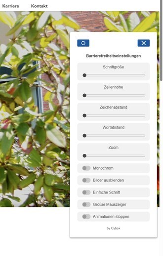 Individuelle Barrierefreiheitseinstellungen mit Plugin Ein geöffnetes Einstellungsmenü für Barrierefreiheit mit Optionen wie Schriftgröße, Zeilenhöhe, Zeichenabstand, Wortabstand, Zoom, Monochrom, Bilder ausblenden, einfache Schrift, großer Mauszeiger und Animationen stoppen.